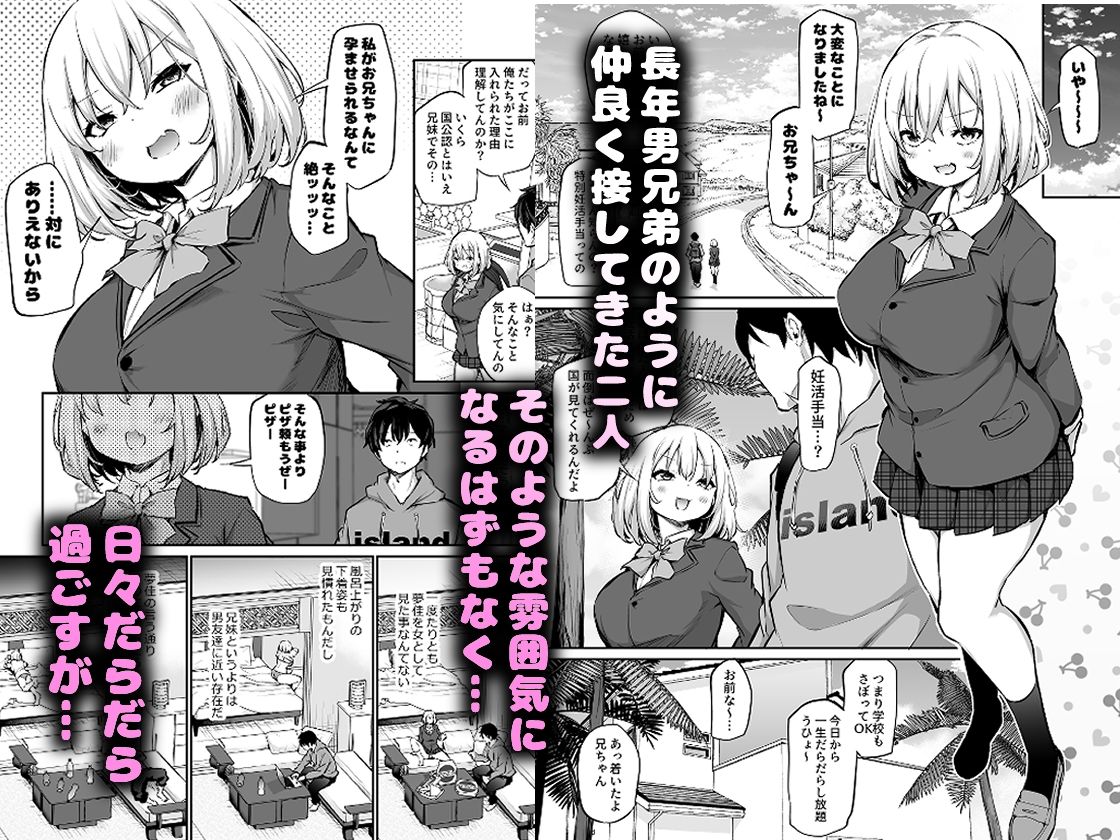 妹孕ませないと出られない島 無料サンプル画像2